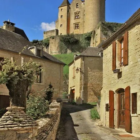 Petite Maison En Pierre Au Coeur Du Perigord Noir Holiday home *