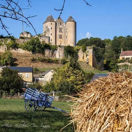 Petite Maison En Pierre Au Coeur Du Perigord Noir