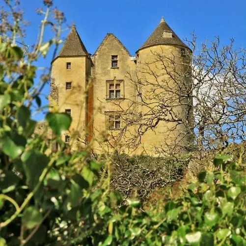 Petite Maison En Pierre Au Coeur Du Perigord Noir * Salignac Eyvigues